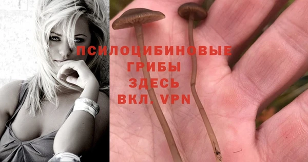 прущая мука Саяногорск