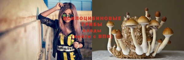 амфетамин Алексеевка