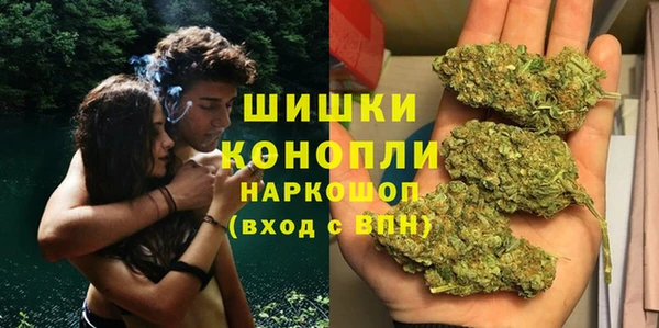 амф Сафоново