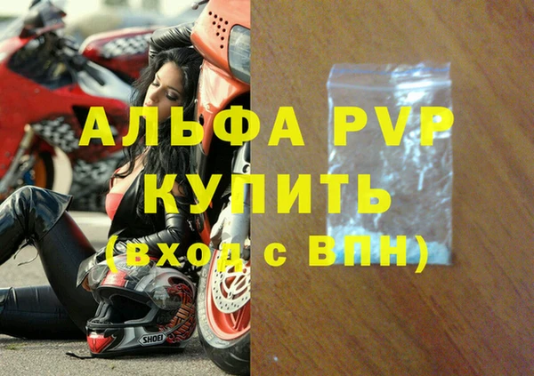 стаф Алзамай